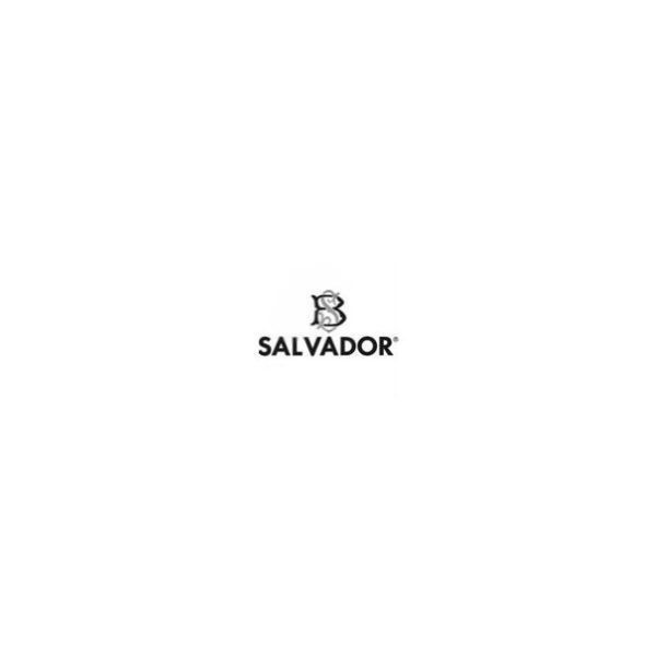 salvador-logo پنجره چرخ گوشت سالوادور اصلی - Image 6